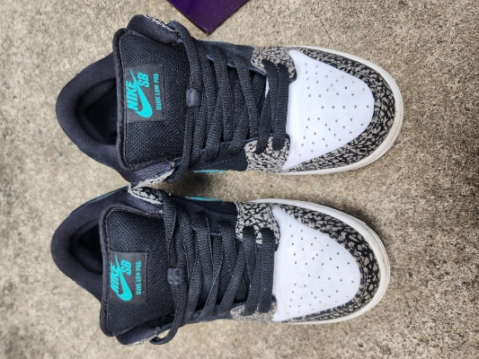 elephant sb dunk low